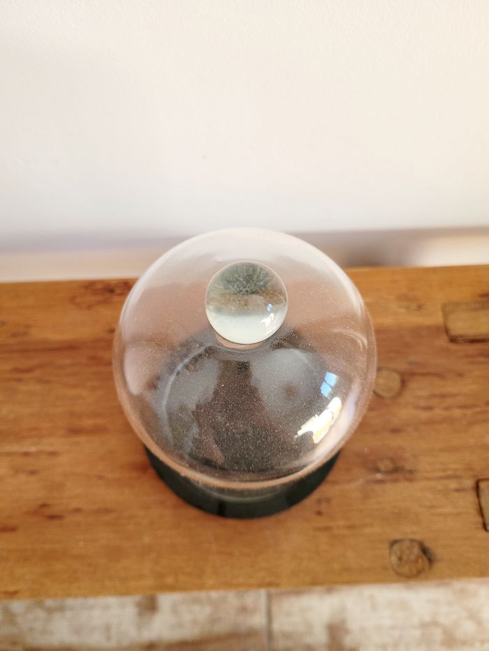 Cloche verre Atmosphera - photo numéro 2