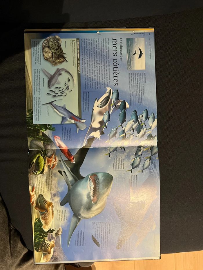 Livre pour enfants les océans à la loupe - photo numéro 5