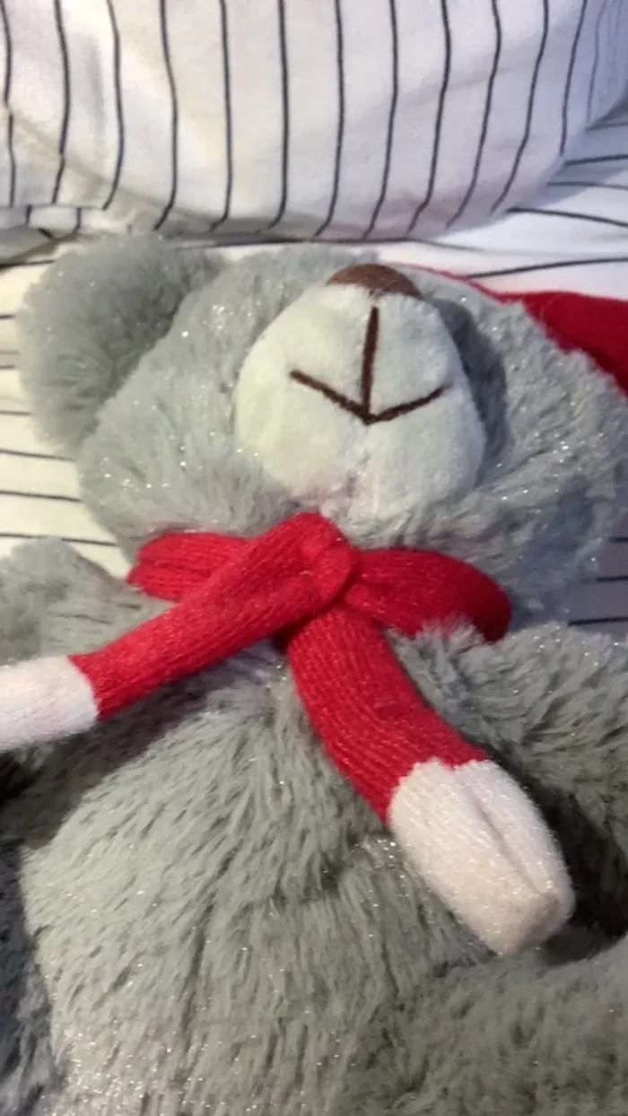 Doudou Noël - photo numéro 2