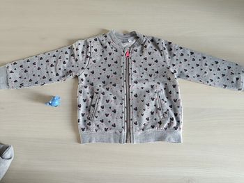 veste