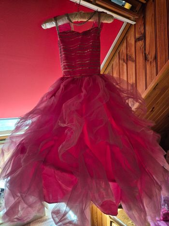 Déguisement Princesse Corolle