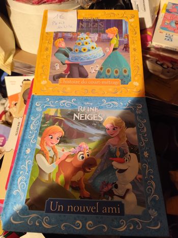 Lot 2 livres elsa