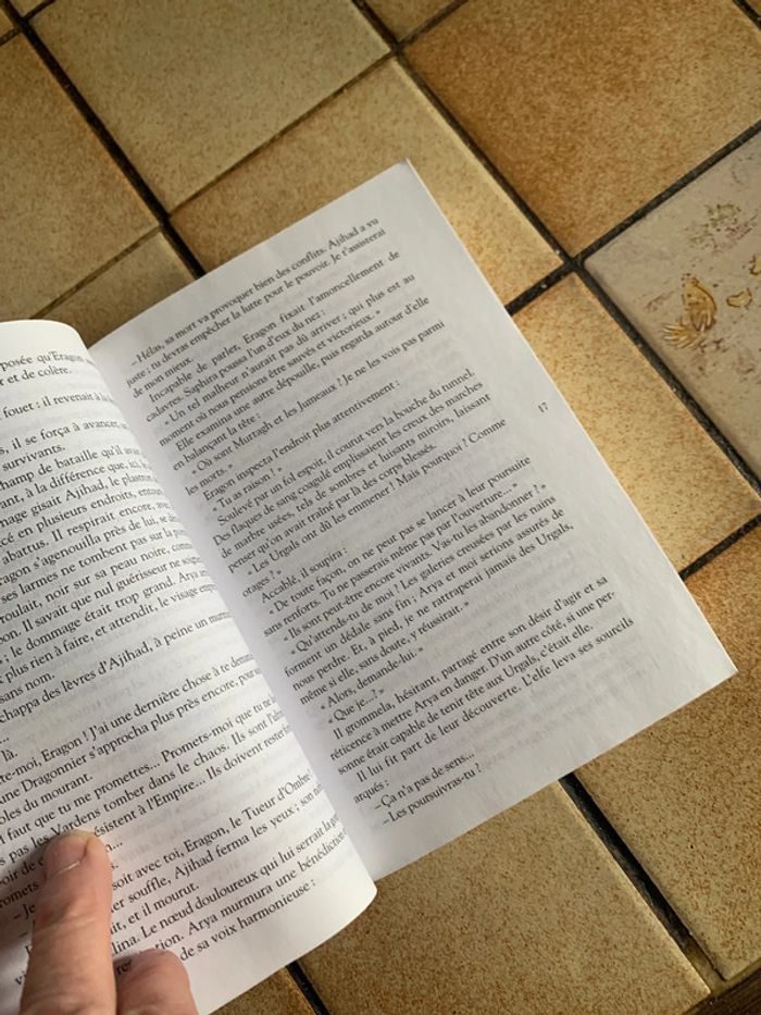 L aîné - photo numéro 6