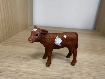 Veau schleich