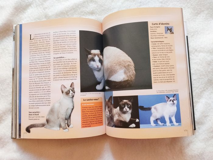 Atlas des plus beaux chats du monde - photo numéro 4