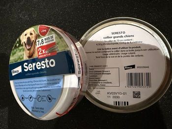 Seresto chien