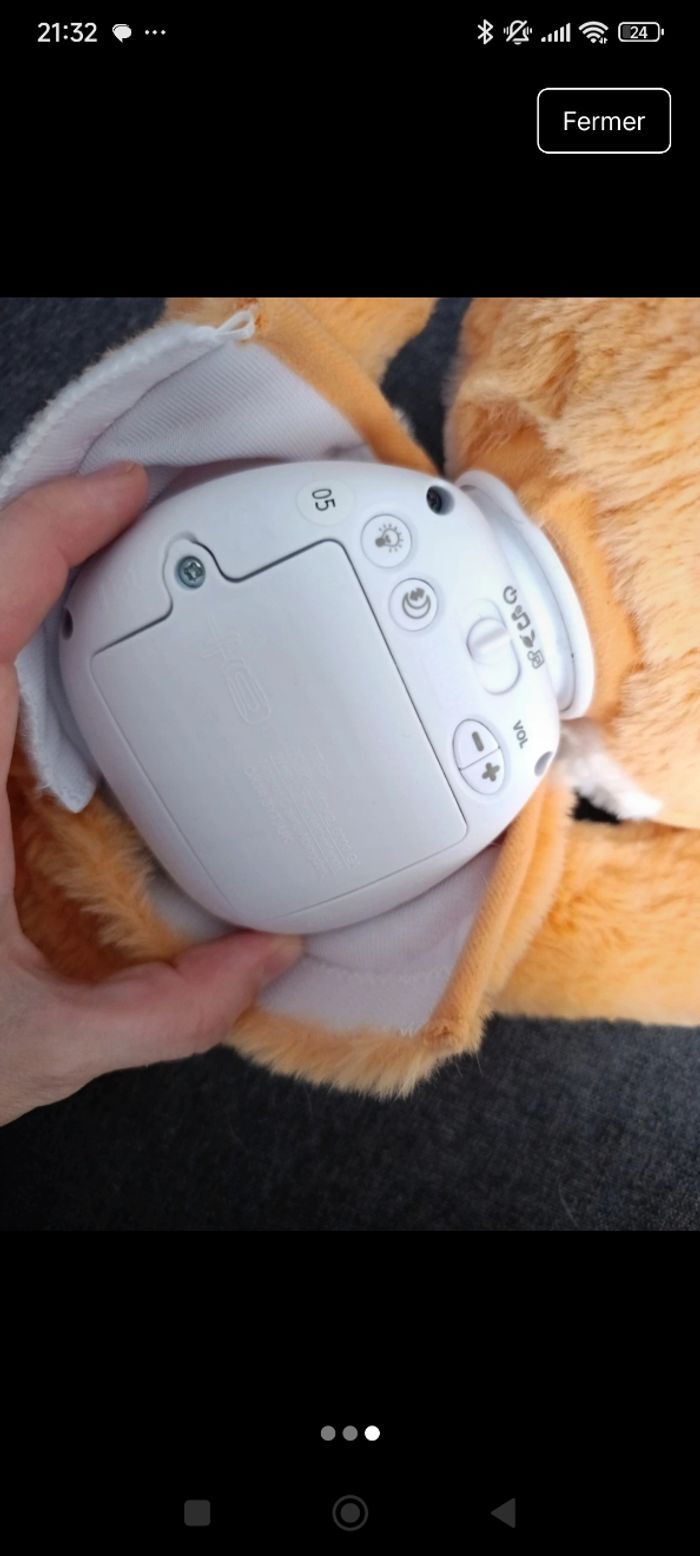 Chat musical - photo numéro 3