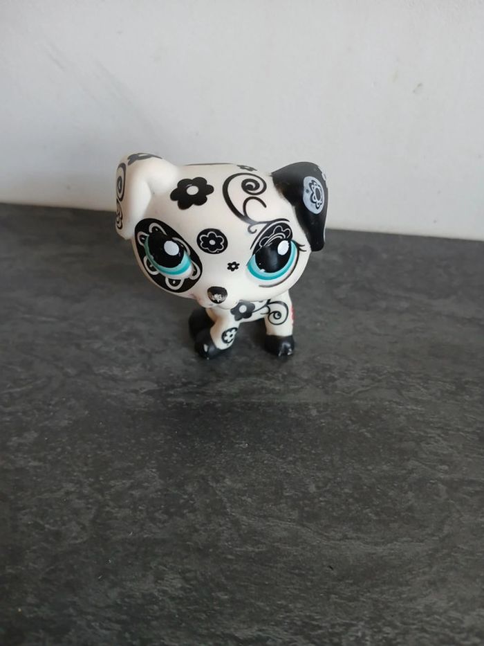 Petshop Dalmatien