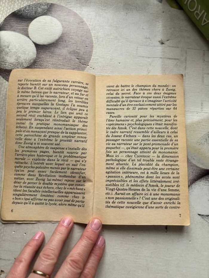 Livre Stefan zweig - photo numéro 3