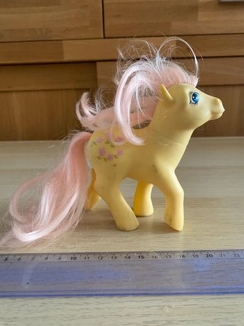 Mon petit poney Little pony hasbro 1984 vintage tulipe rose jaune earth ponies posey