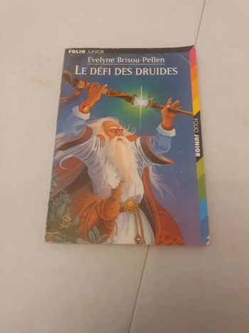 Le defi des druides