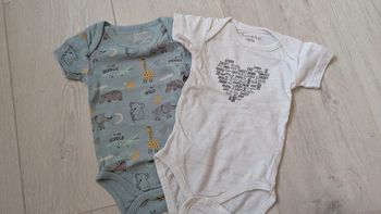 Lot 2 bodies manches courtes