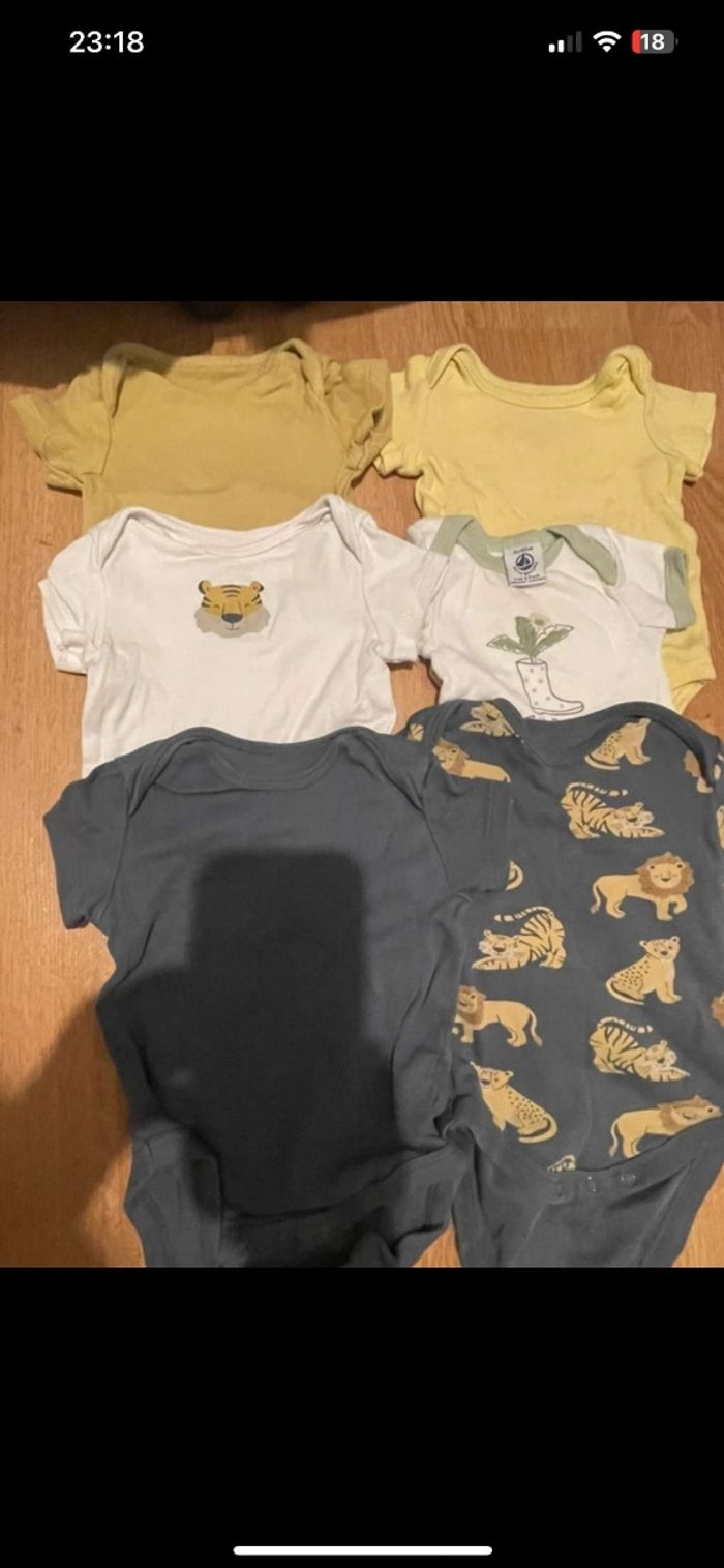 Lot bodies