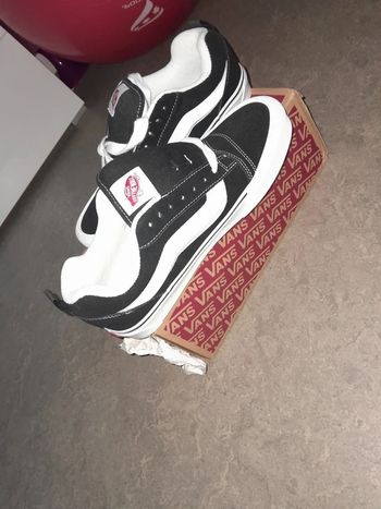 Nieuwe vans knu skool       40