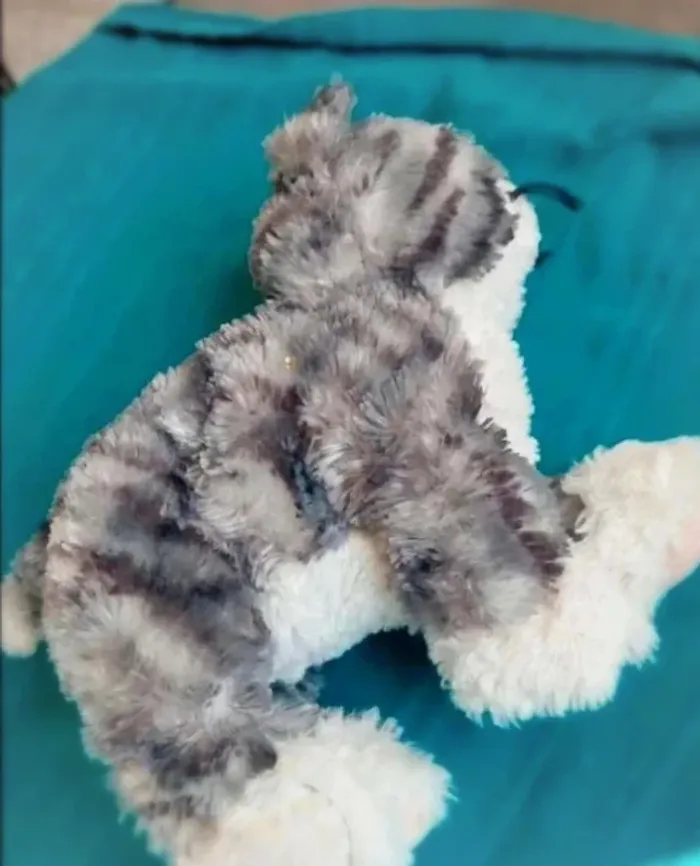 Peluche chat - photo numéro 3