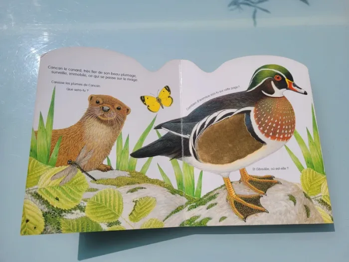 Rare, Superbe livre grand format à toucher 🐢 La vie dans la rivière 🐟 - photo numéro 9