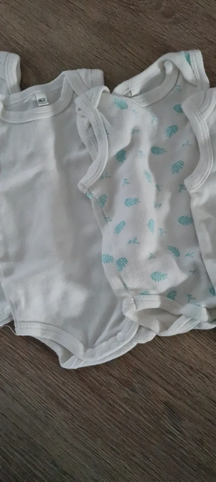 Lot de 7 body 1 mois/56cm - photo numéro 3