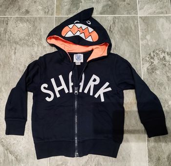 Veste shark
