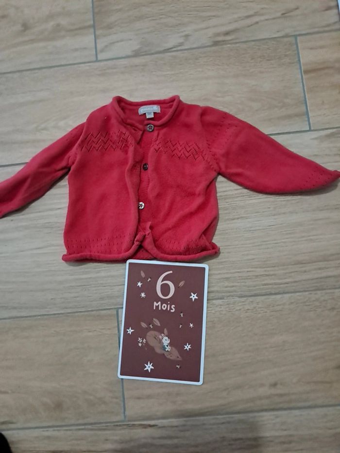 Gilet grain de blé 6 mois - photo numéro 3
