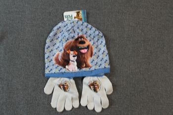 ensemble comme des bêtes bonnet et gants tu