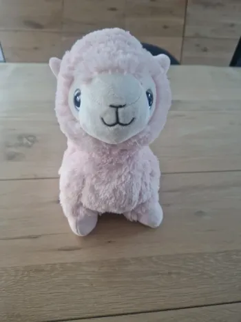 Jolie bouilloire Lama