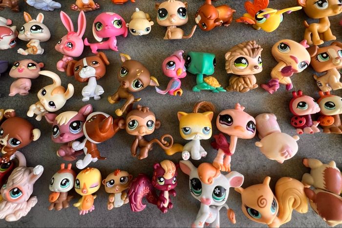 Little Petshop - photo numéro 5