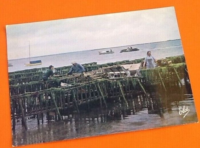 Carte postale Arcachon (Gironde) Travaux Ostréicoles Les casiers remplis de tuiles pour la récolte - photo numéro 3
