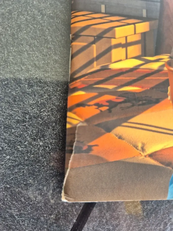 Lot de 5 Livres Disney - photo numéro 17