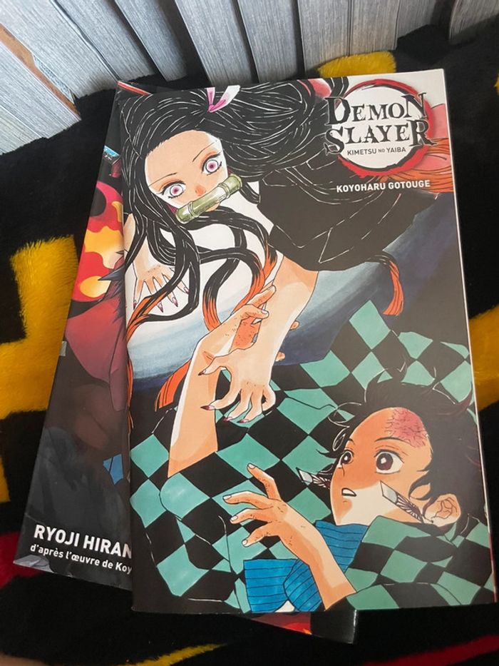 Série complète démon slayer - photo numéro 2