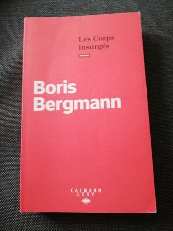 Boris Bergmann Les Corps insurgés