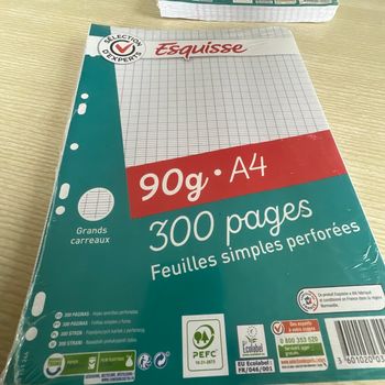 Lot de deux paquets de feuilles  simples perforées