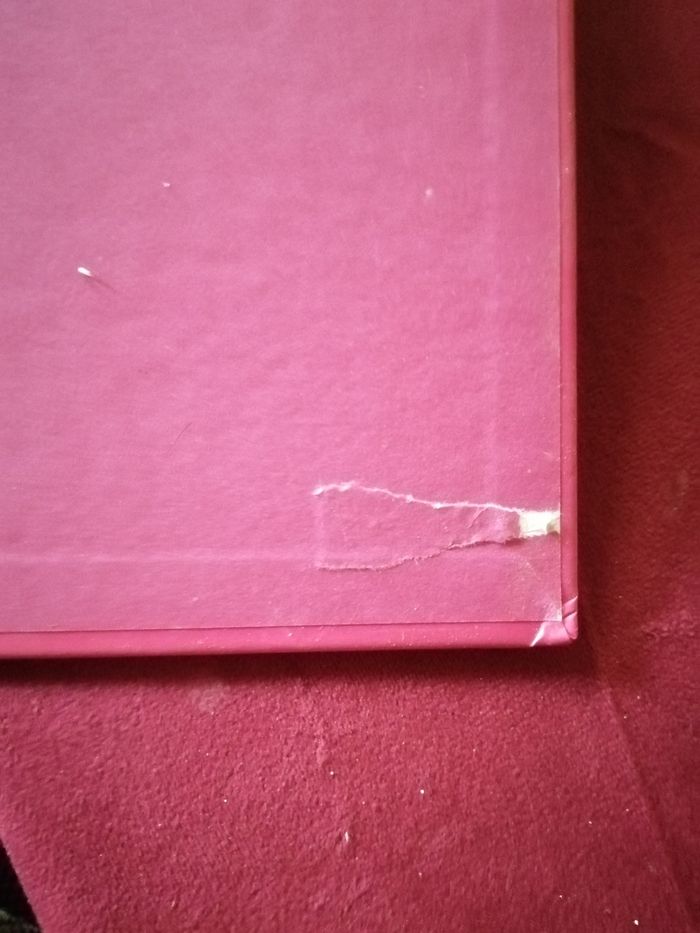 Livre princesses - photo numéro 3