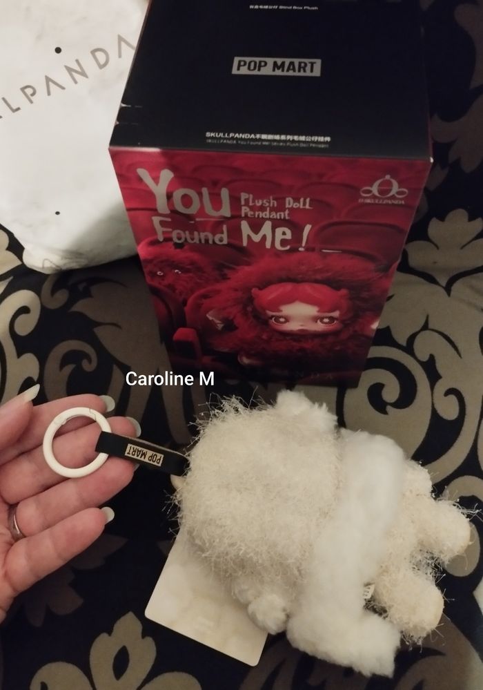 Skullpanda Sandman Authentique Pop Mart Collection You Found Me - photo numéro 4