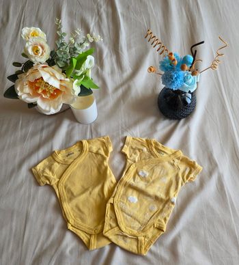 Gémo Lot 2 Bodys Coton Jaune Très Bon État 1 Mois