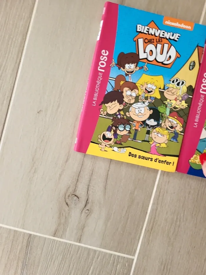 Lot livres bienvenue chez les loud - photo numéro 2