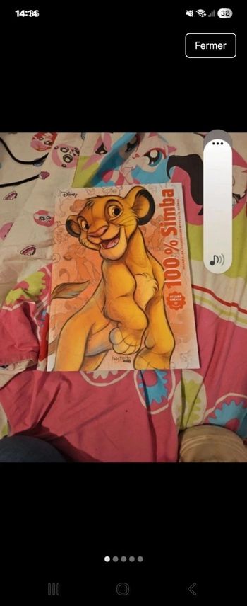 Mystery box roi lion