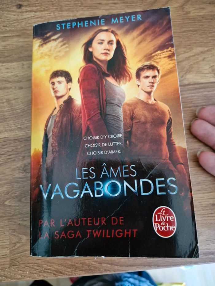Les amis vagabondes
