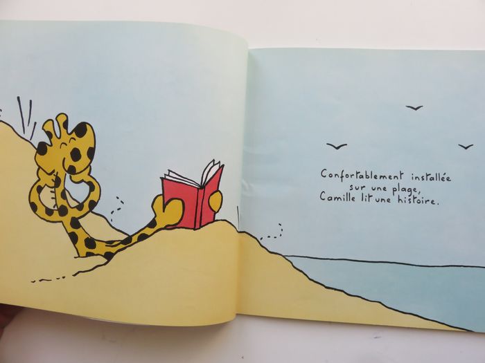 Album 3 à 5 ans : Camille lit une histoire (Jacques Duquennoy) - photo numéro 2