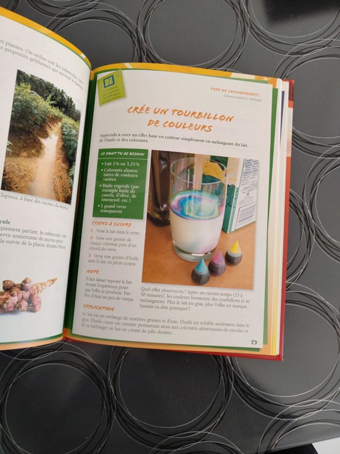 Livre d'expérience scientifique pour enfants - photo numéro 4