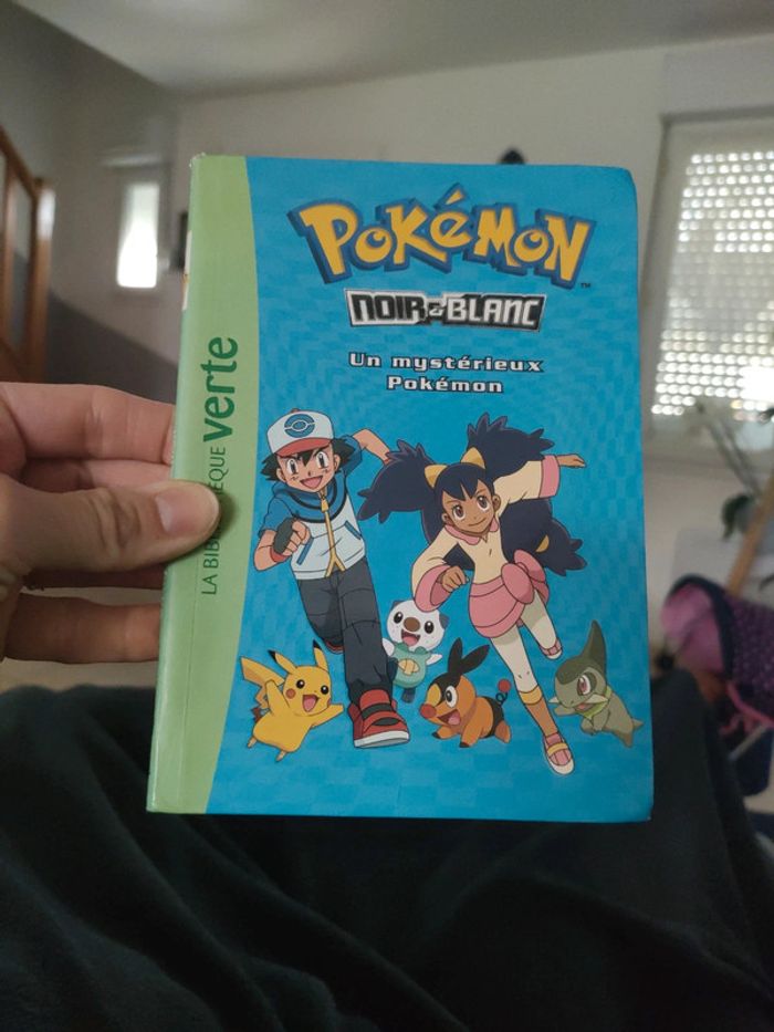 Livre pokémon n°2