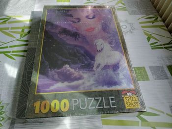 Puzzle 1000 pièces