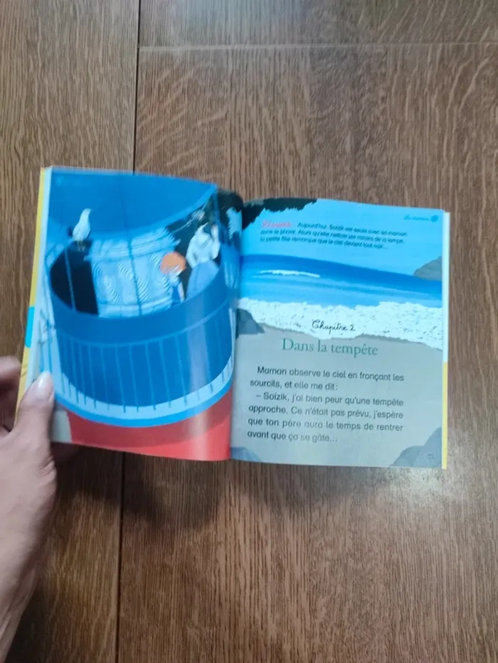 Livre la petite gardienne du phare - photo numéro 15