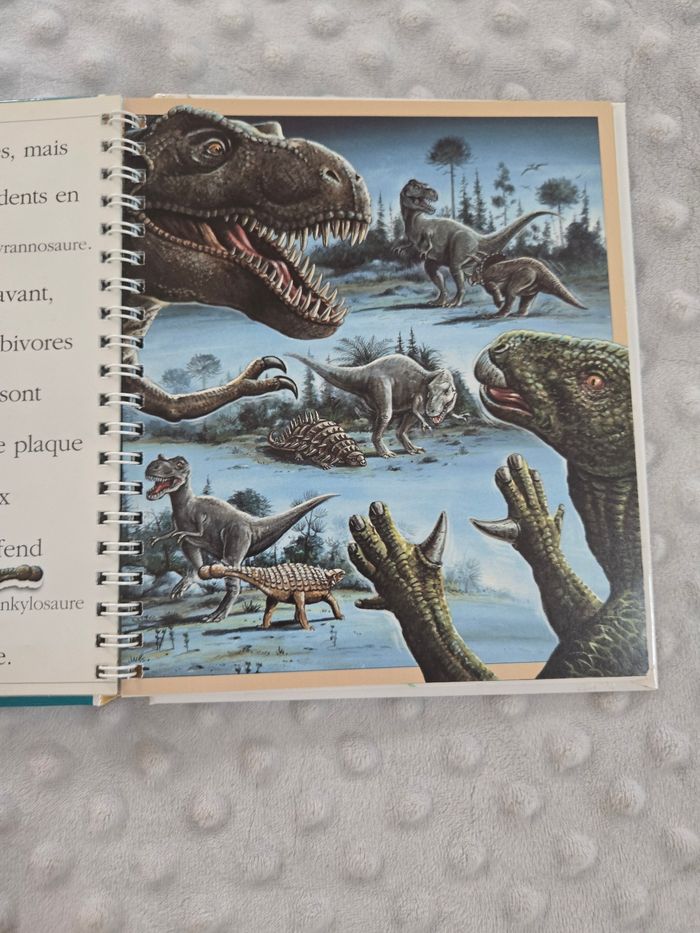 Livre - photo numéro 3
