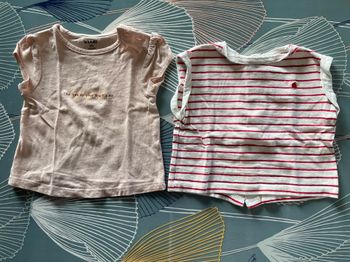 Lots de 2 t-shirt manches courtes bébé