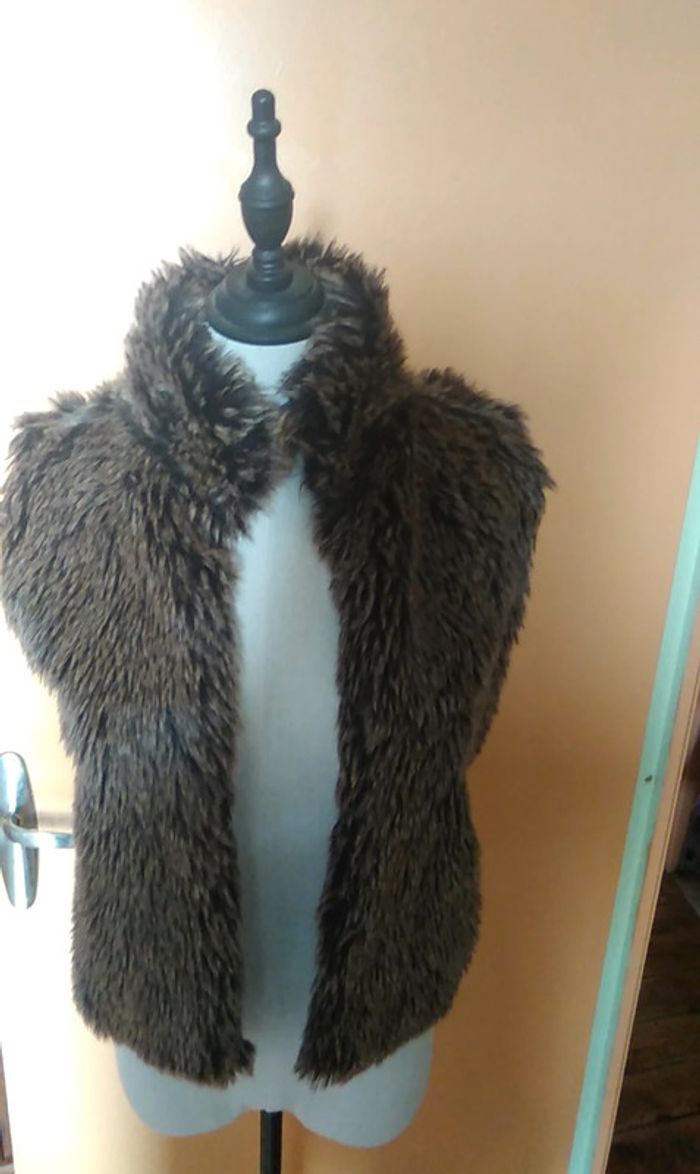 Veste sans manche - photo numéro 2