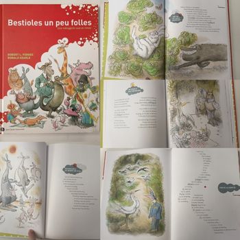 Livre poésie Bestioles un peu folles – Une ménagerie tout en rimes