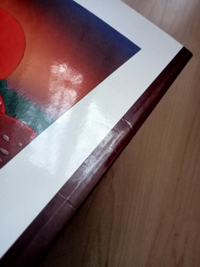 Livre enfant Pétronille - photo numéro 7