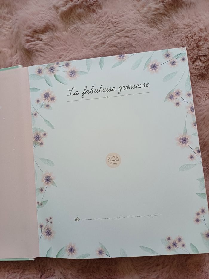 Livre de grosesse - photo numéro 2