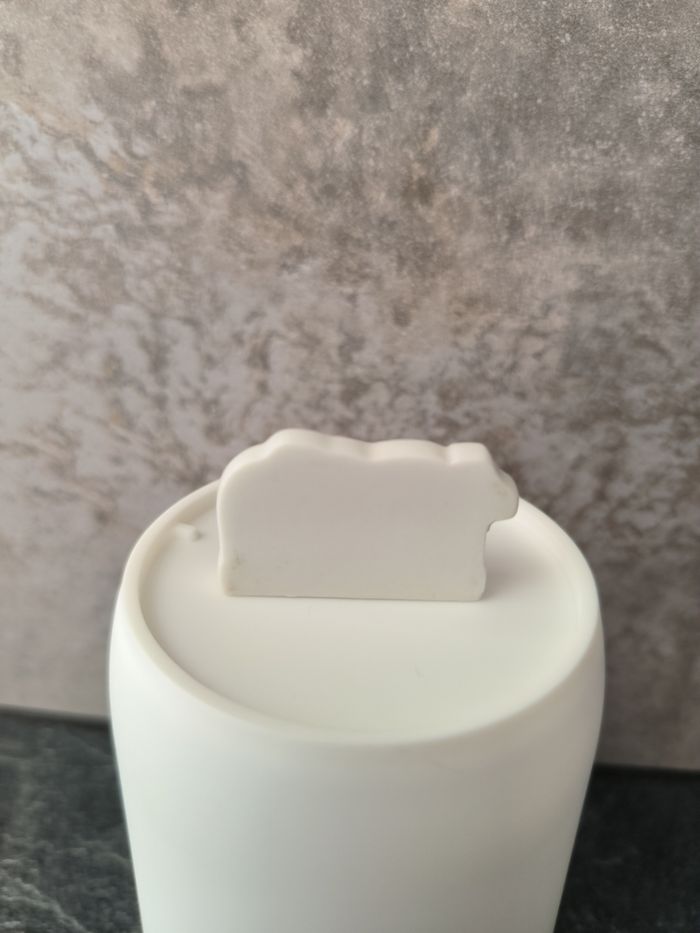 Fève - photo numéro 2