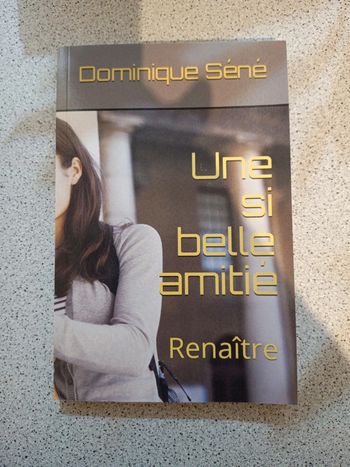 Dominique Séné une si belle amitié renaître